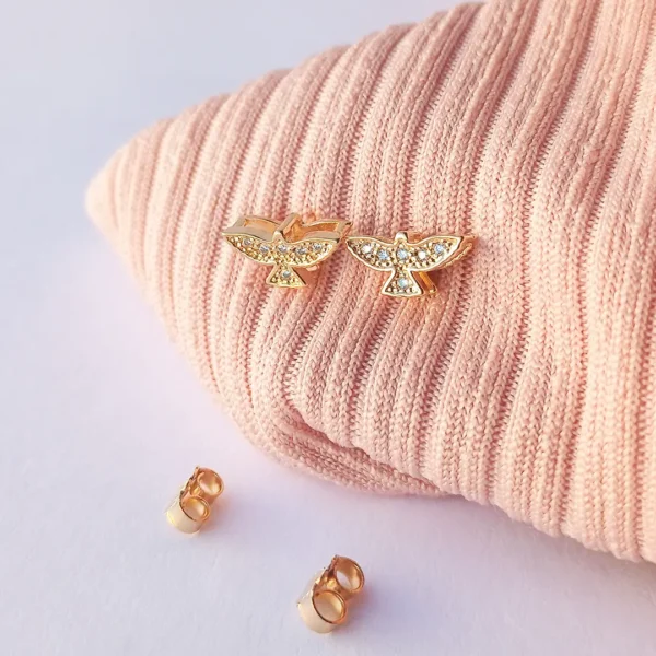 Brincos espirito santo